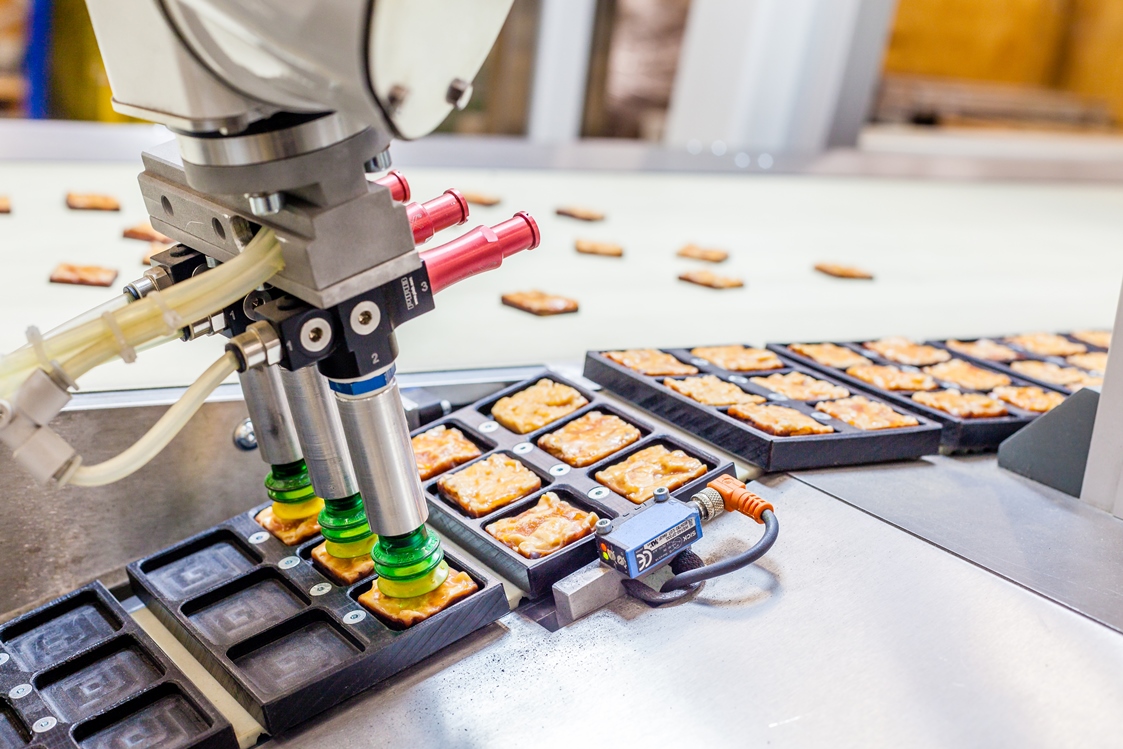 Food line robot