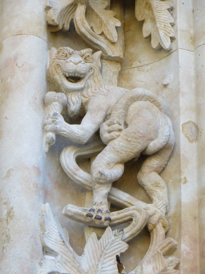 unidentified image